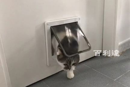 貓門 寵物門